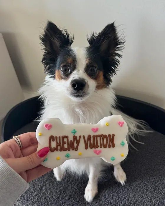 Snaks 5th Avenchew Pet Treats Picture 7