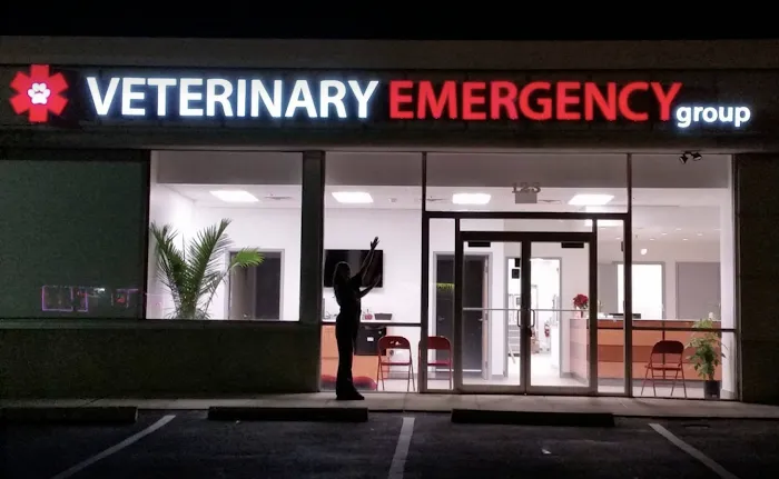 Animal Dermatology Clinic Picture 3