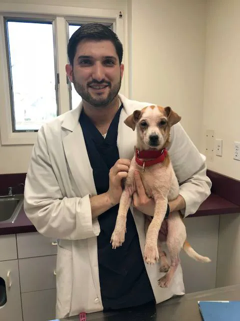 Animal Dermatology Clinic Picture 6
