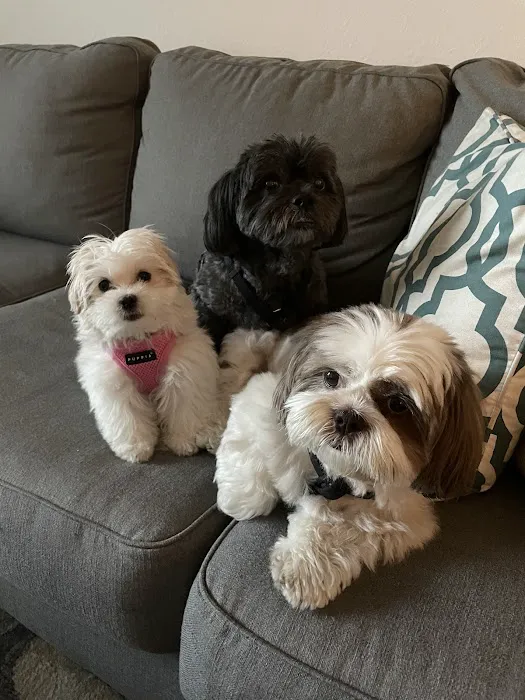Love My Puppy Picture 2
