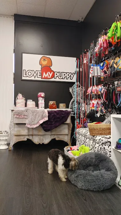 Love My Puppy Picture 8