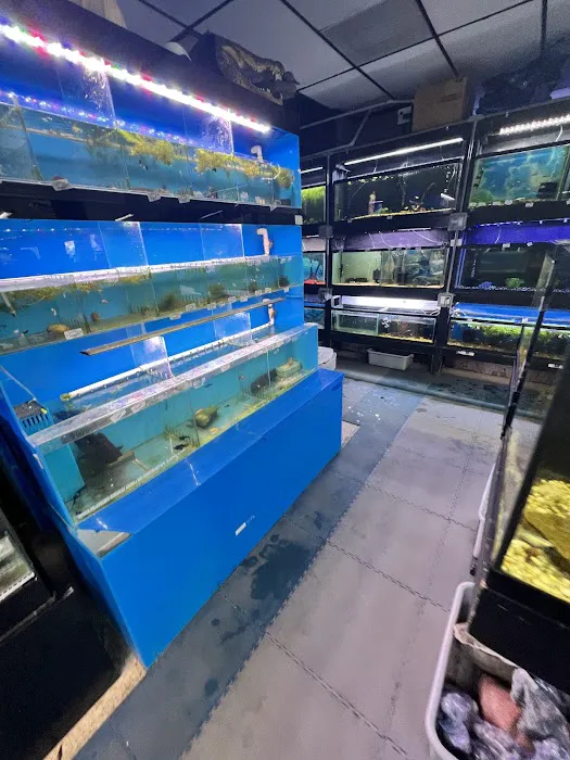 Barrier Reef Picture 8