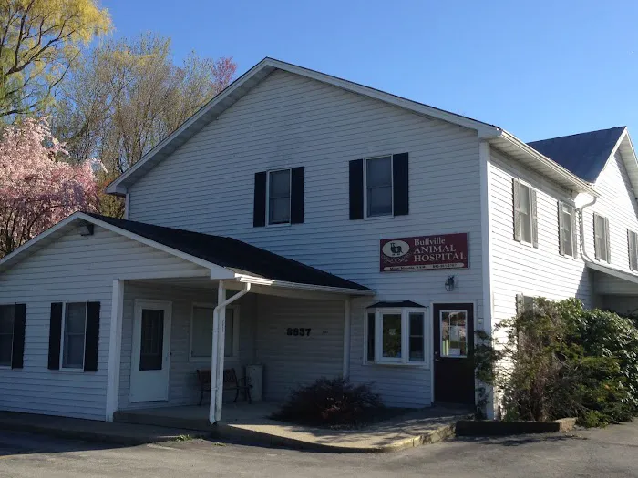 Bullville Animal Hospital Picture 2