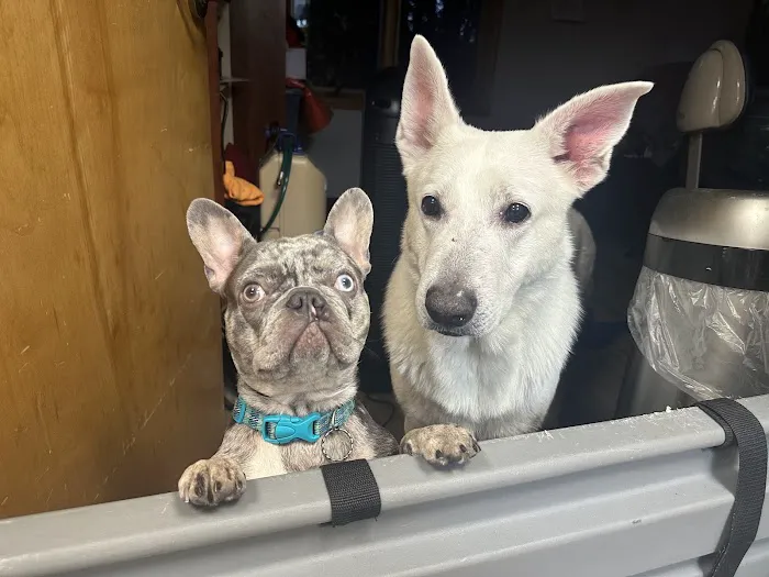 Pet Supermarket Picture 1