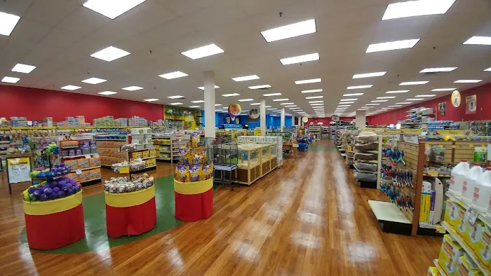 Pet Supermarket Picture 4