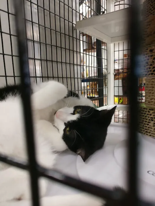 Pet Supermarket Picture 6