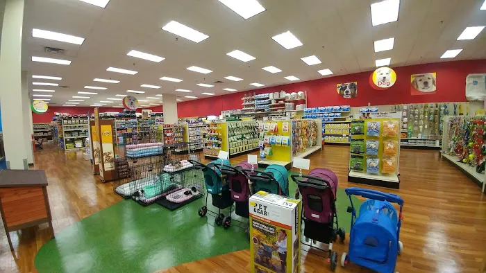 Pet Supermarket Picture 10