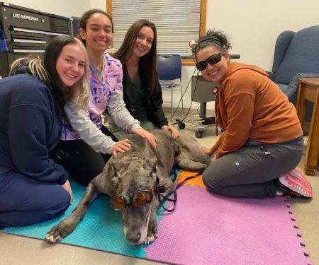 Catskill Veterinary Services, PLLC