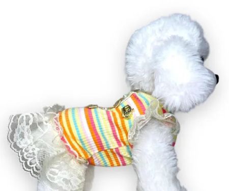 Joni Pet Store