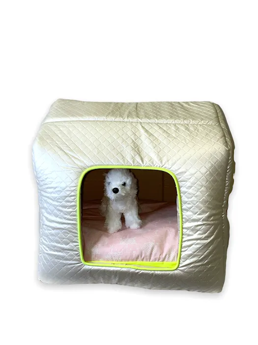 Joni Pet Store Picture 7