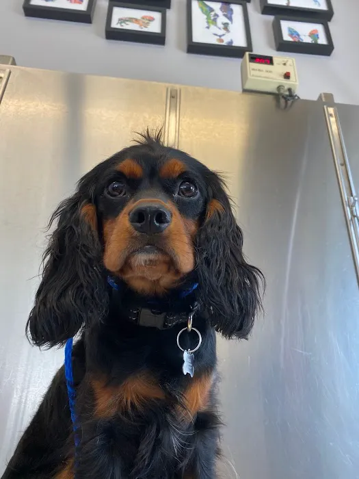 Walker Valley Veterinary Hospital Picture 3