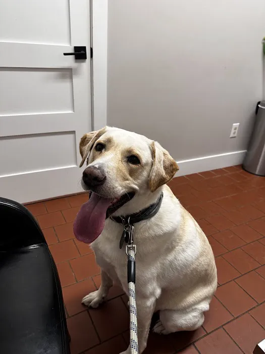 Walker Valley Veterinary Hospital Picture 1