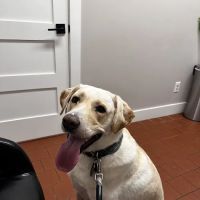 Walker Valley Veterinary Hospital ico