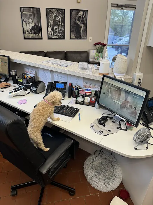 Walker Valley Veterinary Hospital Picture 4