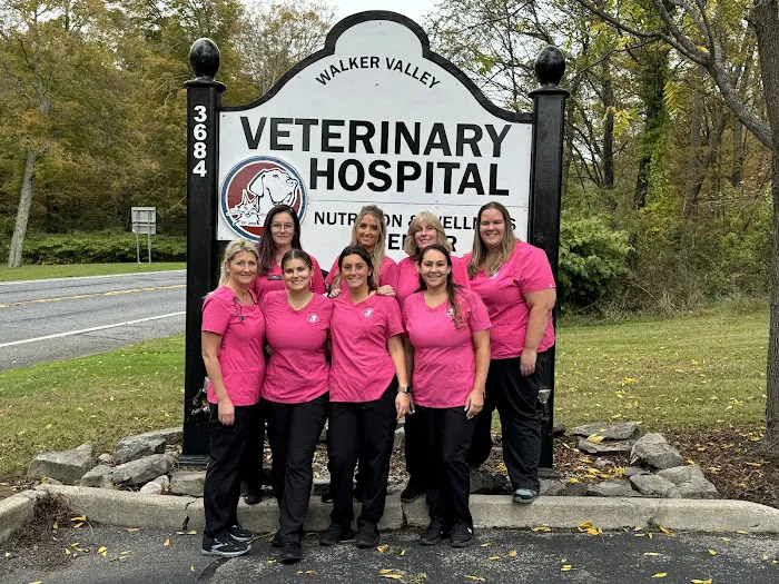 Walker Valley Veterinary Hospital Picture 6