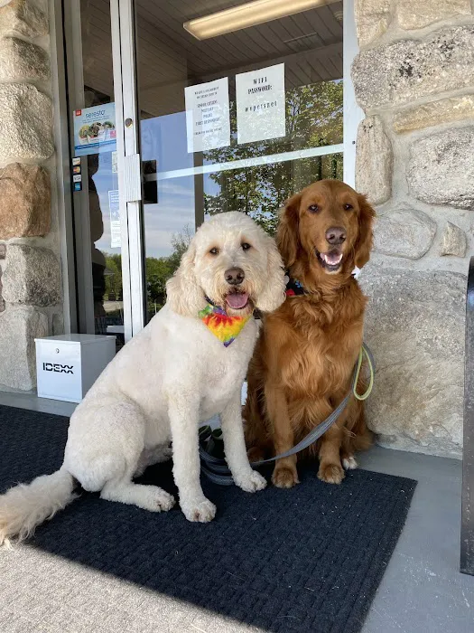 Walker Valley Veterinary Hospital Picture 7