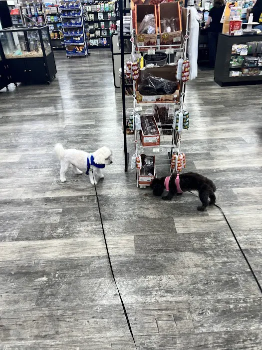 Pet Supermarket Picture 2
