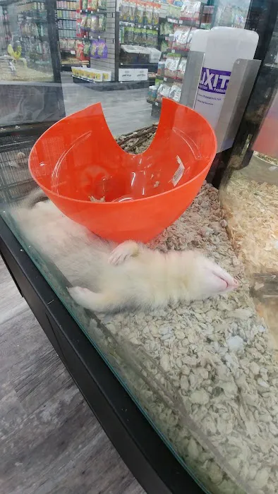 Pet Supermarket Picture 9
