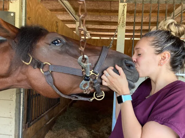Pine Bush Equine Services and Veterinary Hospital Picture 3