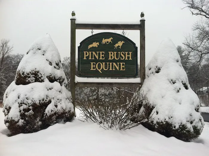 Pine Bush Equine Services and Veterinary Hospital Picture 2