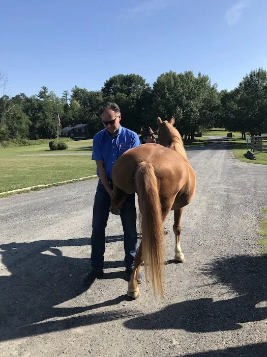 Pine Bush Equine Services and Veterinary Hospital Picture 4