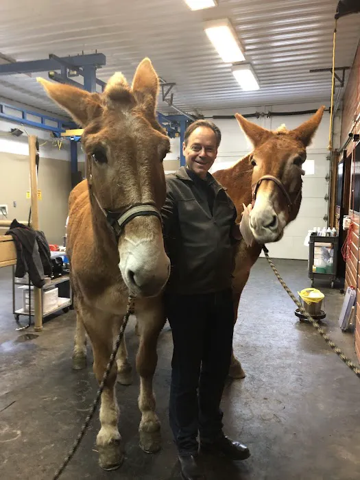 Pine Bush Equine Services and Veterinary Hospital Picture 10