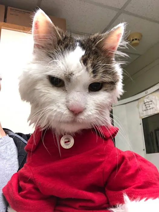 Cedarknoll Animal Hospital Picture 2
