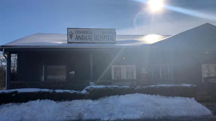 Cedarknoll Animal Hospital Picture 3
