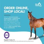 Winner's Circle Equine Veterinary Services