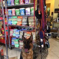 Holistic Pet Cuisine ico