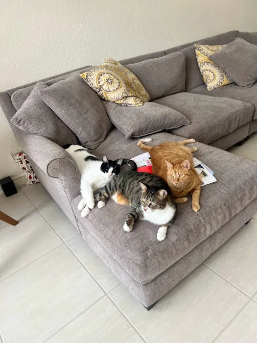 Holistic Pet Cuisine Picture 7