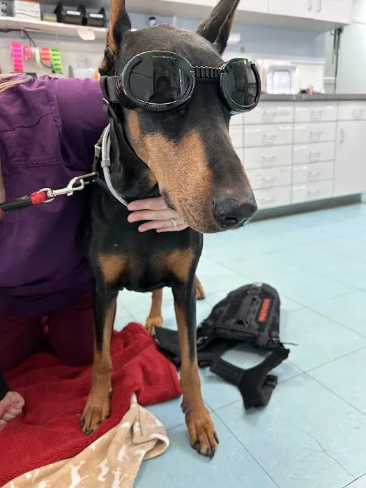 Hamptonburgh Animal Hospital Picture 7