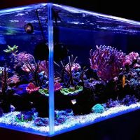 Custom Reef Aquarium Designs ico