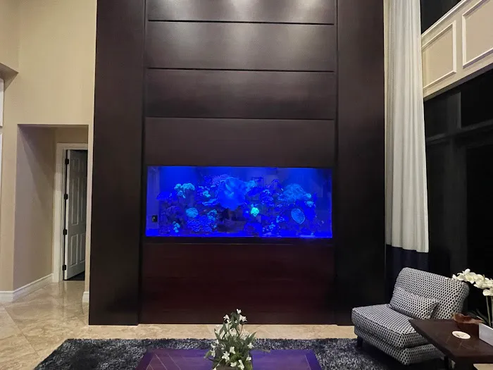 Custom Reef Aquarium Designs Picture 2