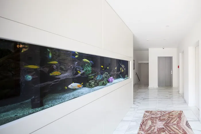 Custom Reef Aquarium Designs Picture 5