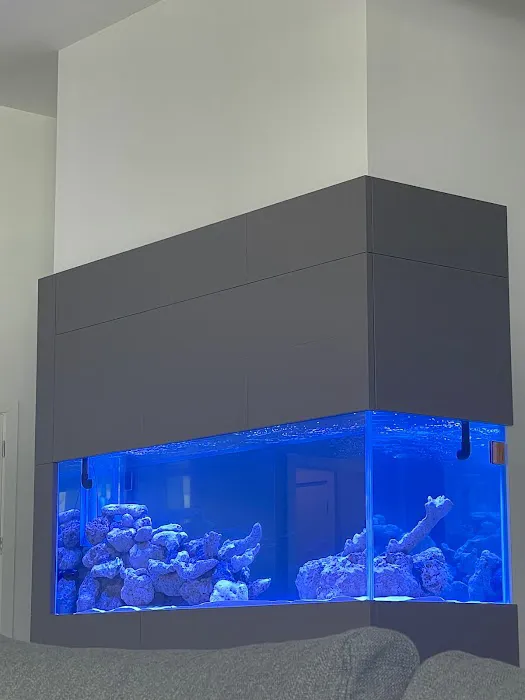 Custom Reef Aquarium Designs Picture 7