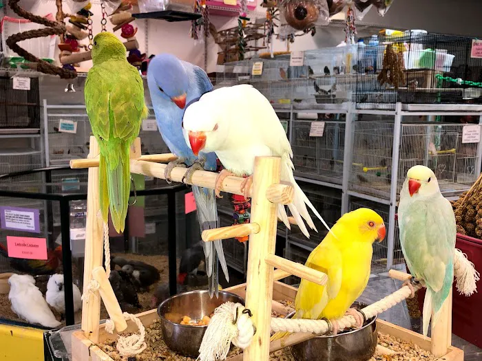Brenda's Birds Picture 2