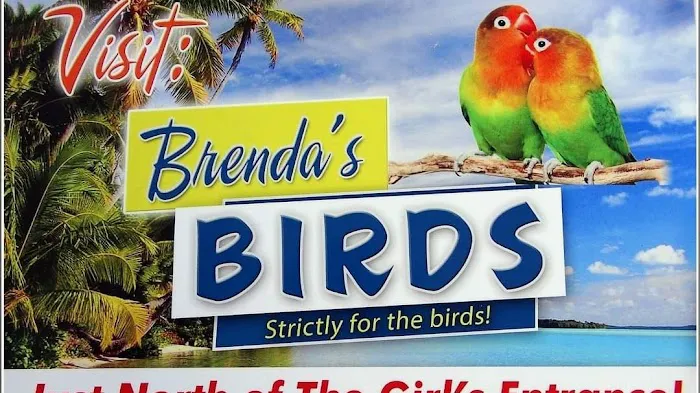 Brenda's Birds Picture 4