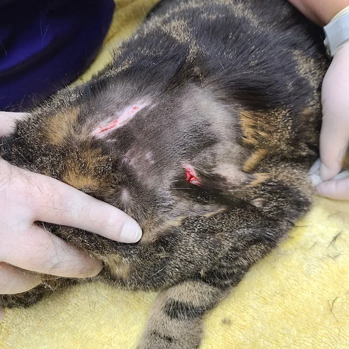 Otterkill Animal Hospital Picture 4