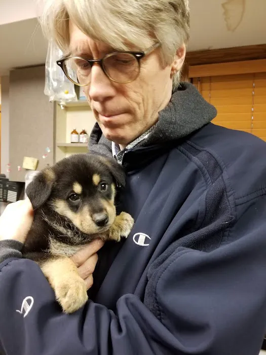 Central Valley Animal Hospital & Cat Veterinary Clinic Picture 5