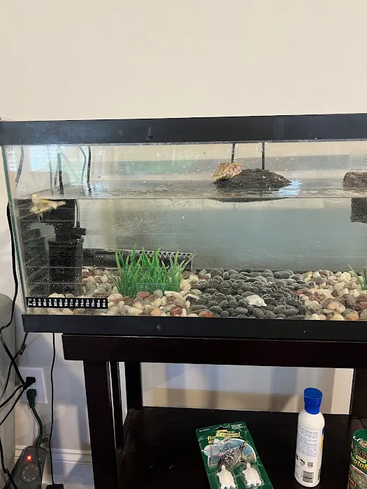 Big Apple Pet Supply Picture 1