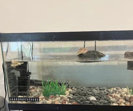 Big Apple Pet Supply