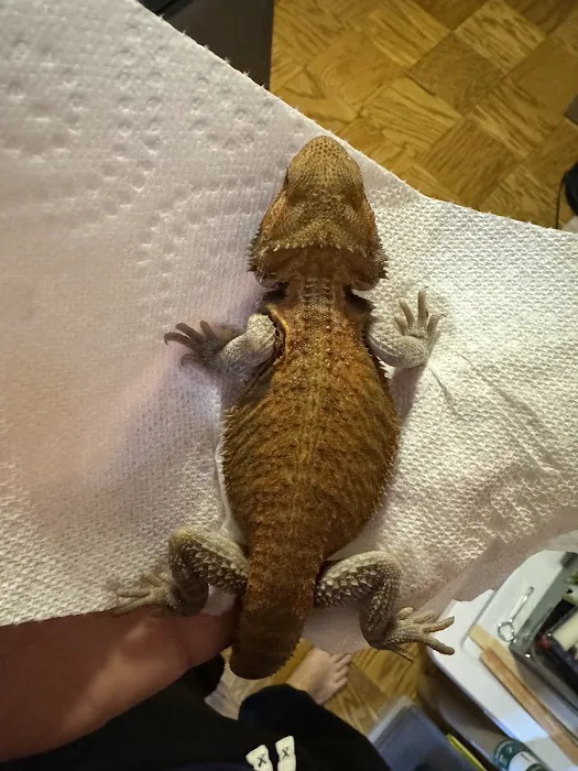 Big Apple Pet Supply Picture 7