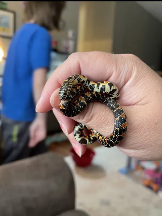 Big Apple Pet Supply Picture 8
