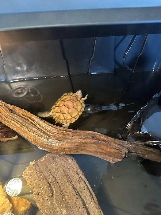 Big Apple Pet Supply Picture 10