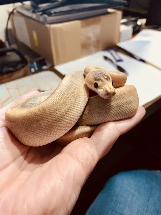 Big Apple Pet Supply Picture 9