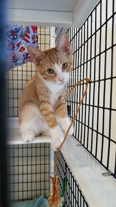 Pet Supplies Plus Delray Beach Picture 5