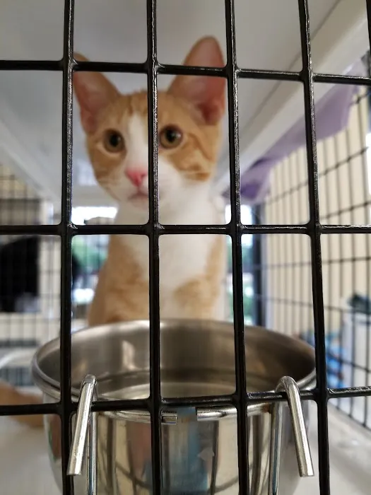 Pet Supplies Plus Delray Beach Picture 7
