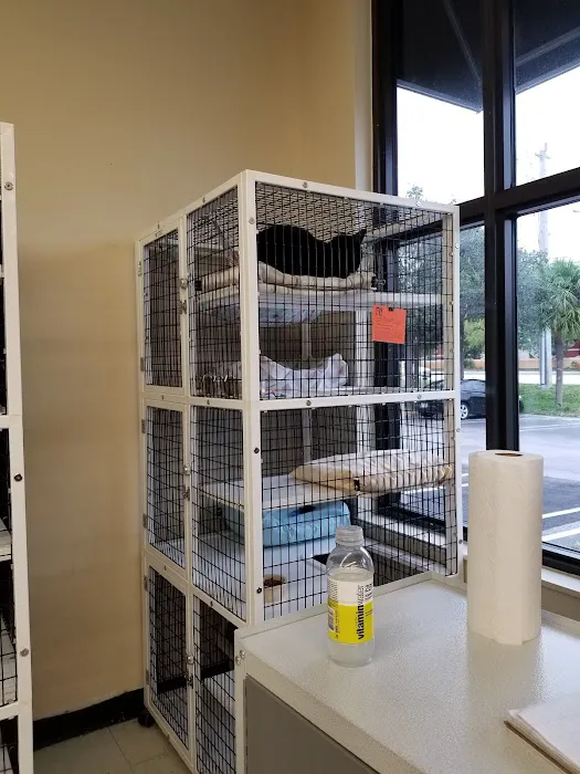 Pet Supplies Plus Delray Beach Picture 6