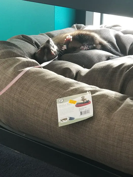 Pet Supermarket Picture 5